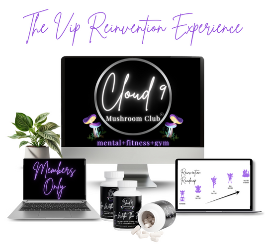 3 Month VIP Reinvention